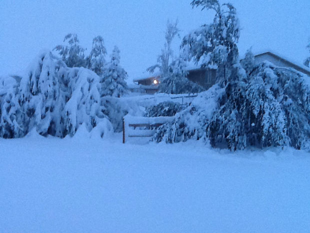 Winter Storm Atlas